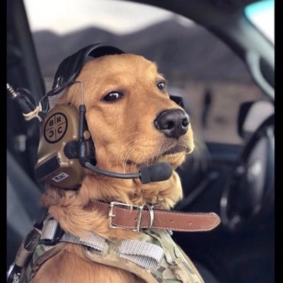 Rudd1Brandon's profile picture. 