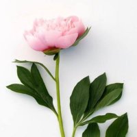 دعاء و استغفار (@estqfarr) 's Twitter Profile Photo دعاء و استغفار (@estqfarr) 's Twitter Profile Photo
