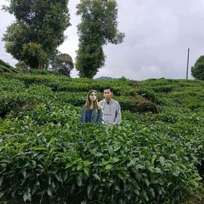 DimasAdiD_01's profile picture. Facebook:Dimas Adi Darmawan
Instagram:dimasadidarmawan_0624