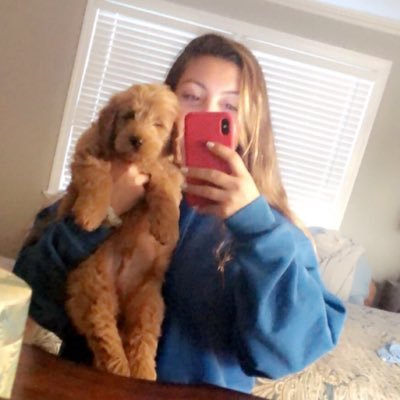 taylorrmartin14's profile picture. you don’t need a license to drive a sandwich