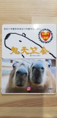カピバラ好きのカピバラ好きのための鬼天竺会のTwitterアカウントです。
カピバラ好きが集まるサークルです。
(組織ではないです)
同じ名前で、インスタもアカウントありますので是非フォローお願いします☺️
.
鬼天竺会のオフ会、イベント情報を中心に配信していきます!