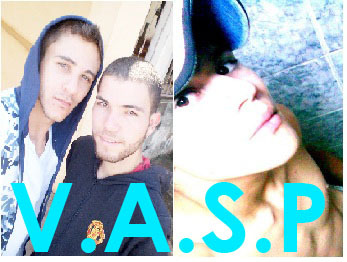 ProgramaVASP's profile picture. 