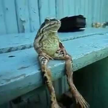 kyran_m8's profile picture. 