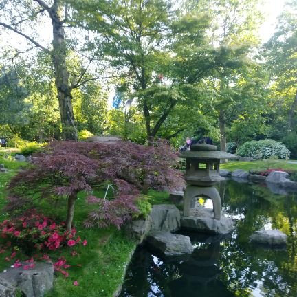 GlobalOneGO's profile picture. Terricola