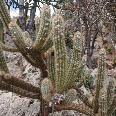 RaptorGregy's profile picture. 