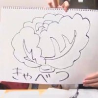 きゃべつ (@cabbagar) 's Twitter Profile