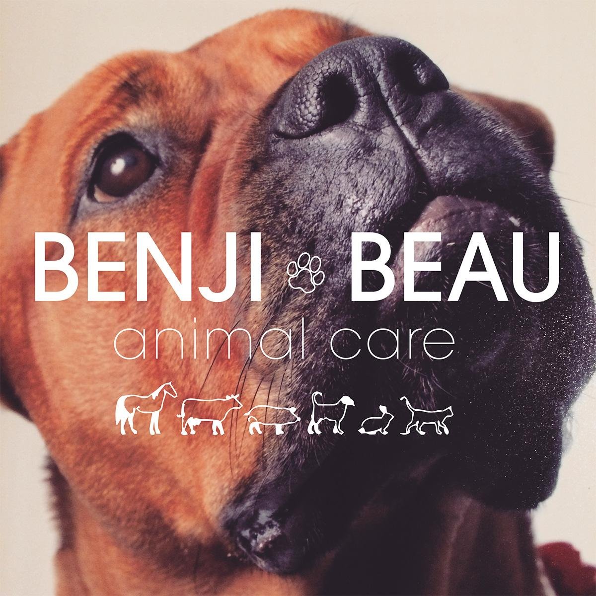 BenjiandBeau Profile Picture