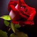تعال ولا تخاف (@7egq8uo9rv3znaf) Twitter profile photo تعال ولا تخاف (@7egq8uo9rv3znaf) Twitter profile photo
