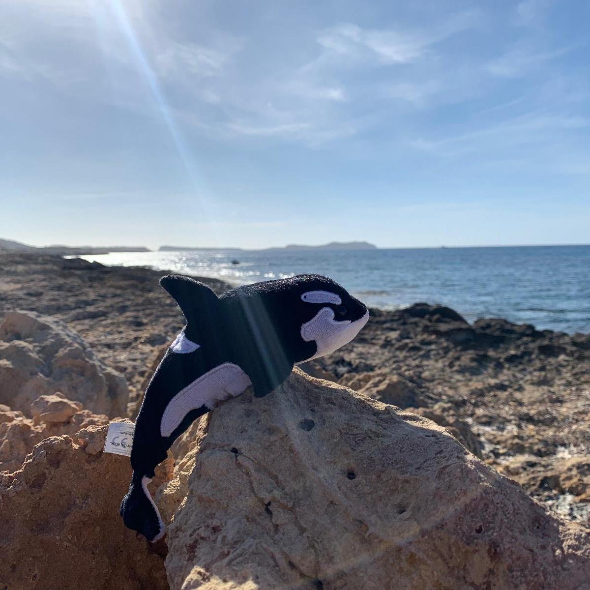 #OSINT #geolocation challenges based on the travels of Orla and Ollie, the Neotas Orcas. 
Run by the Open Source Intelligence Analysts @Neotasltd