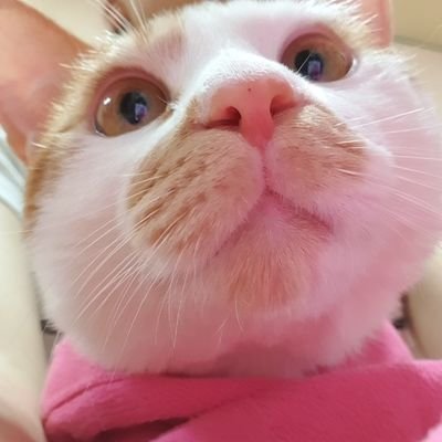 ㅇㄷさんのプロフィール画像