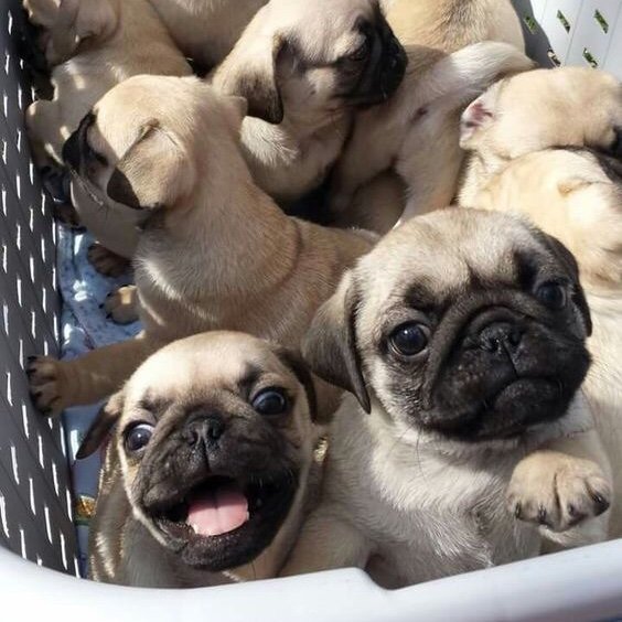 tommy090205240's profile picture. 