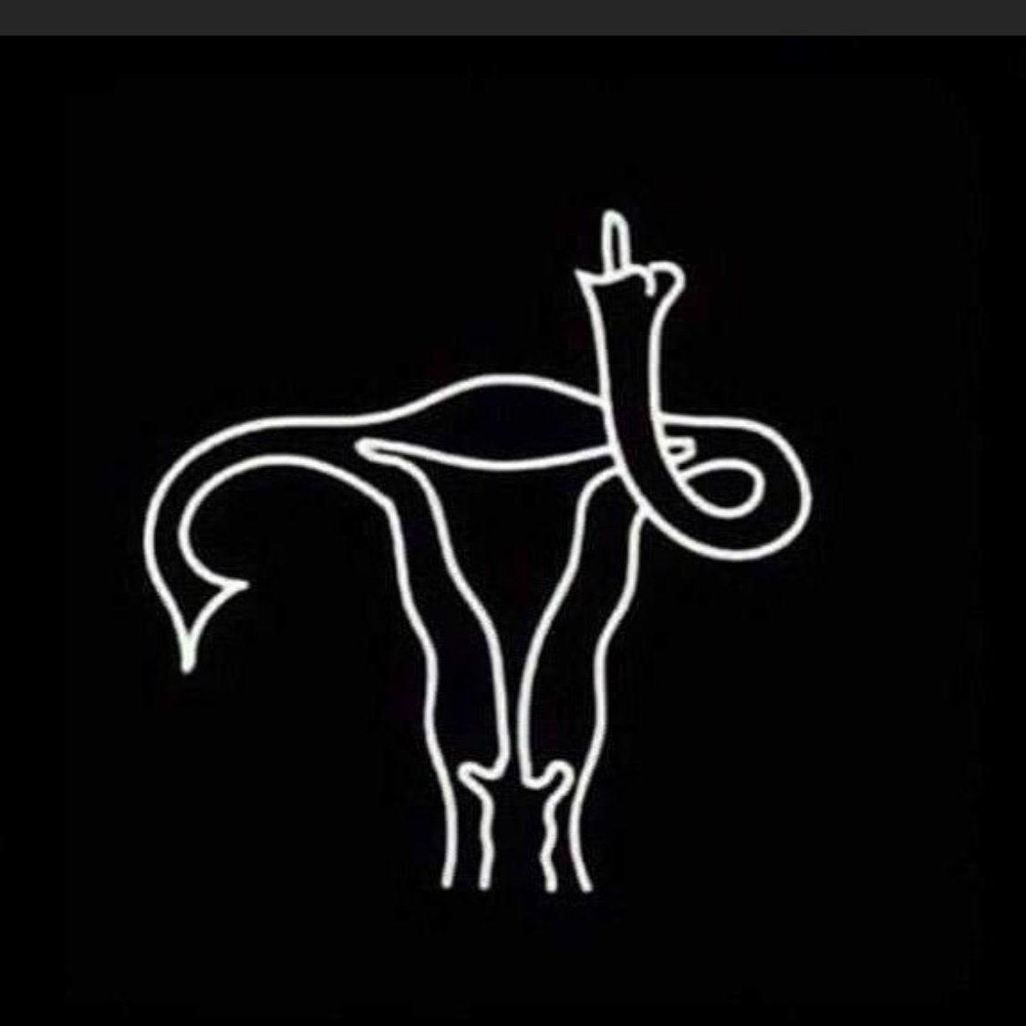 TookieBaby714's profile picture. Highly inappropriate at all times. Introvert. LOVER of bacon. StubbornAF and boy can I hold a grudge. #AdoptDontShop #SaveTheBees