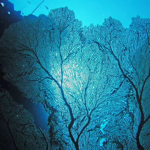 blue87636734's profile picture. 「中堅タイパ－と思いたい」 
特技：寝ること、あとタイピングなのか？
特徴：病みツイ＆中二病のメンヘラです

ITの勉強中。脳の体力が。。。