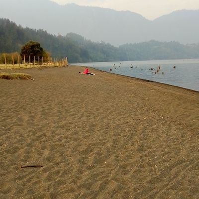 PatricioVidal4's profile picture. 