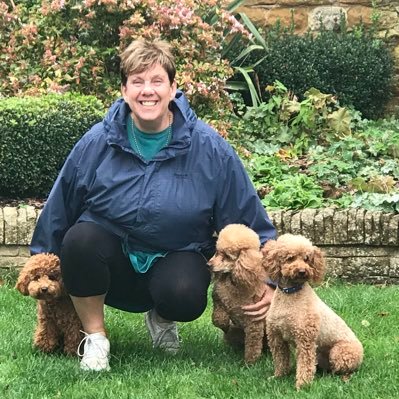 I love to help owners to train their dogs to be great family pets. Dog training in Melton Mowbray, Oakham and Leicestershire