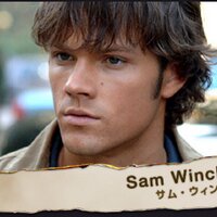 San (@nul_blend) 's Twitter Profile