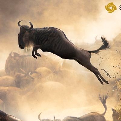 Bringing new fintech markets together, mining advisor #cryptominer #altcoins #bitcoinchina 🇨🇳🇪🇺
