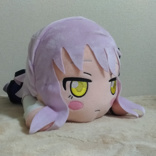 きこるさんのプロフィール画像