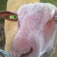 James MacCartney (@jamesmaccartney) 's Twitter Profile