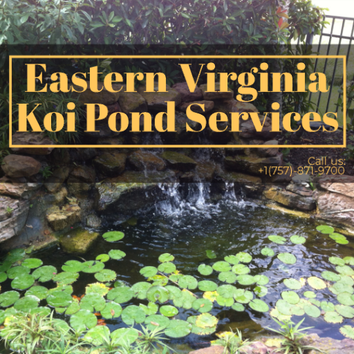 JackRob82187706's profile picture. 