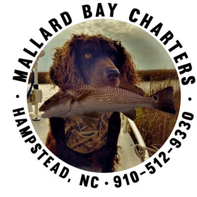 Inshore, Near Short Light Tackle Fishing/ Half & Full Day Charters/ USCG Licensed.