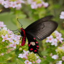 ellena cook - @ellenac07289727 - Twitter