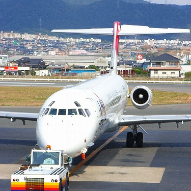 空飛ぶ弁護士✈練馬の獅子党