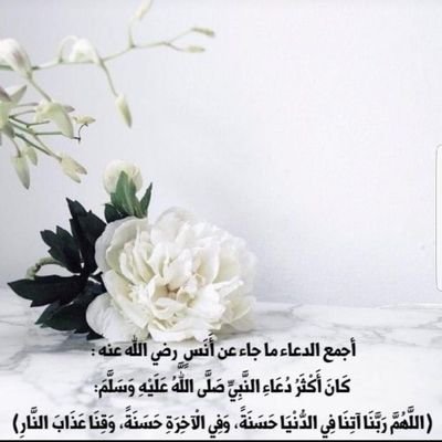 ربي ياحي ياقيوم ياذا الجلال والإكرام
أبتي تاج رأسي💜 وامي حبيبة قلبي 💜
واجعل لي أثر قبل إنتهاء العمر