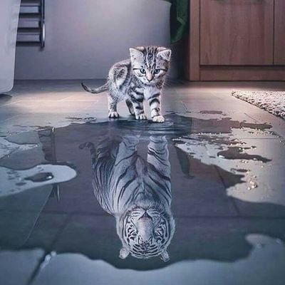Calipssobzh's profile picture. 