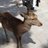 maephon1023's profile image