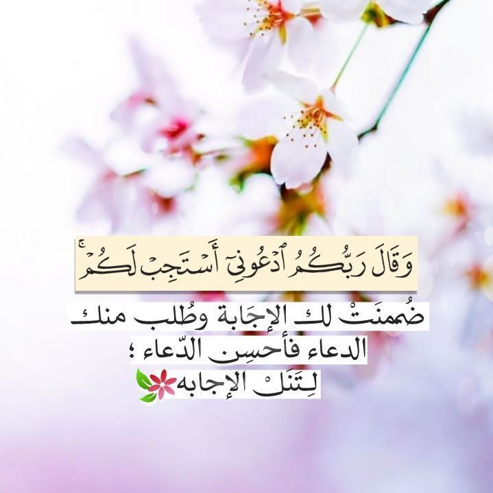 hassan256442817's profile picture. 