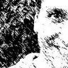 Jorge Gracia Profile