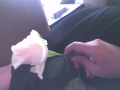 Loool_girl's profile picture. ask me