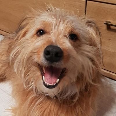 MelStasiak's profile picture. Kompetenzvermutung