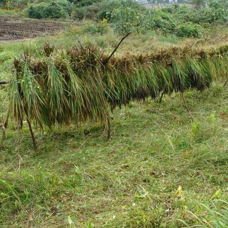 pathy1111's profile picture. 趣味. 伝統医学、ジャズ少々、最近ヨットも。中年以降、男