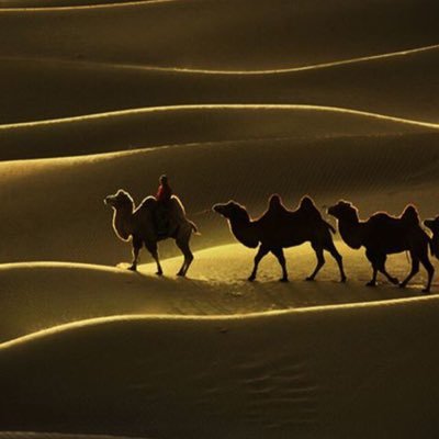 RJL8cZHVt5eYyg1's profile picture. اللهم لا ترفع عنا سترك ولا تنسينا ذكرك