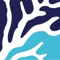 50 Reefs (@50reefs) 's Twitter Profile