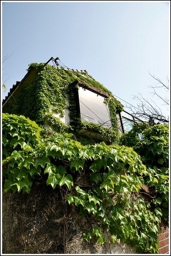 twtkr5's profile picture. 최선을 다하는 성격 입니다.
모두다 행복 하세요^^

신나는 퀴즈풀고. 수익도 얻는 퀴즈나라 와 함께 하세요^^

http://t.co/37MRr9wtEU