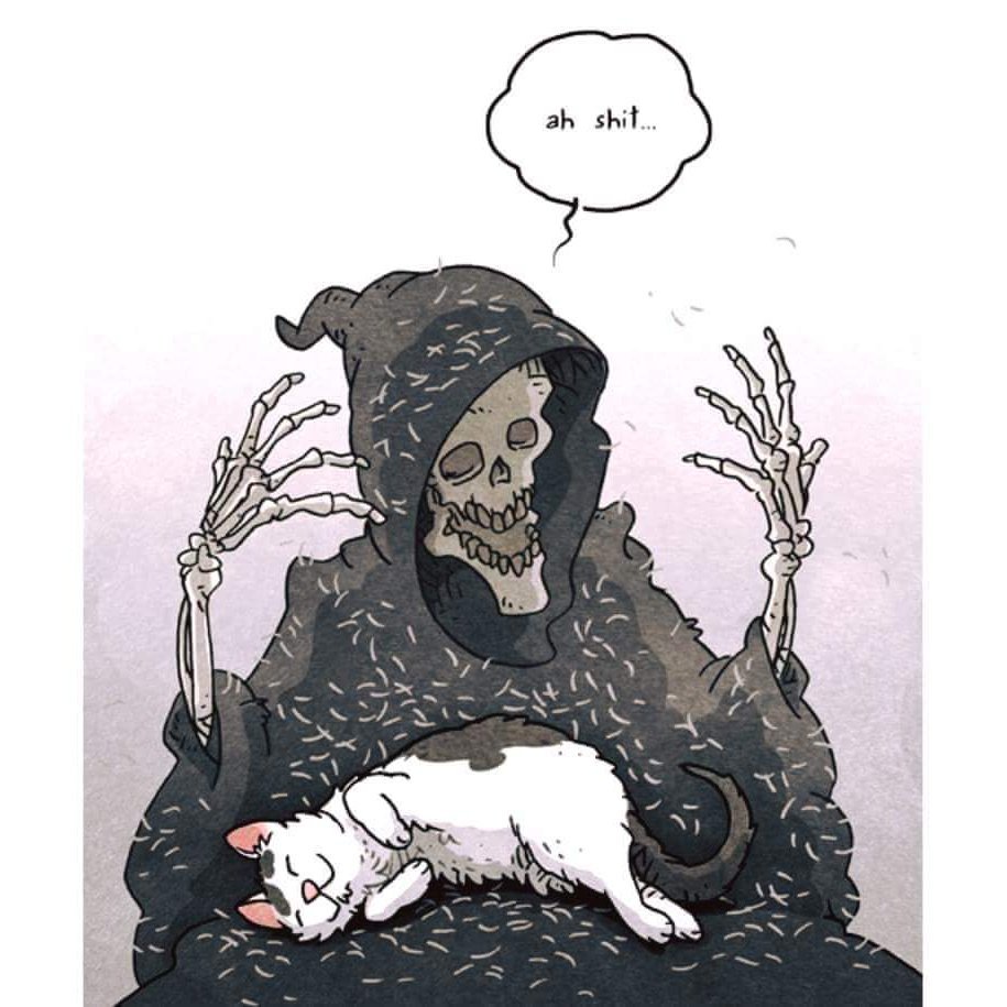 Anionic_pulse's profile picture. Tomorrow is tomorrow, all we have is today.

Question:  Who am I?
Answer: A lazybones