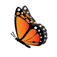 Montessori Public School of Arlington (@mpsarlington) 's Twitter Profile Photo Montessori Public School of Arlington (@mpsarlington) 's Twitter Profile Photo