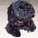 Dale Page - @CloverRiver - Twitter