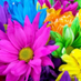 Jeanene Lorey (@loreyjeanene) Twitter profile photo Jeanene Lorey (@loreyjeanene) Twitter profile photo