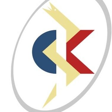 colkine's profile picture. Colegio profesional, representante de los Kinesiólogos Chilenos frente al Estado, a nivel internacional frente a la WCPT, OMS y CLAFK