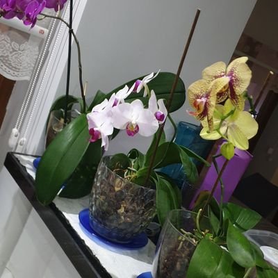 hzakduman's profile picture.