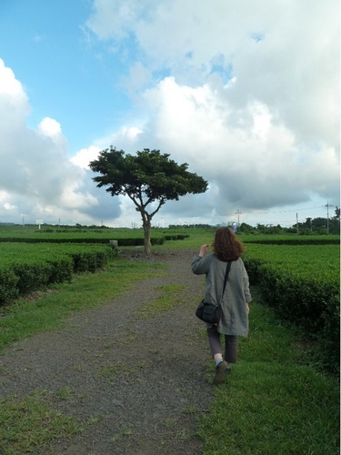 AndalMom's profile picture. 