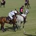 poloclubs (@poloclubsinter) Twitter profile photo poloclubs (@poloclubsinter) Twitter profile photo