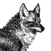 kensh (@_kensh) Twitter profile photo kensh (@_kensh) Twitter profile photo