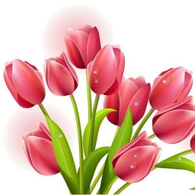 Artık hakikat ortaya çıkmış ve onların bütün yaptıkları boşa gitmişti. ____ARAF_7/118____