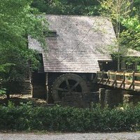 F3 Tiny Kingdom (@f3tinykingdom) 's Twitter Profile
