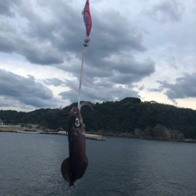 Shu_0817's profile picture. 広島 釣り初心者 ♂23 エギング 他にも色々やりたい…